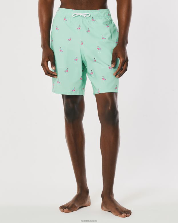 Bottoms Hollister Men Guard Swim Trunks 7\\ 488201395 Mint Print